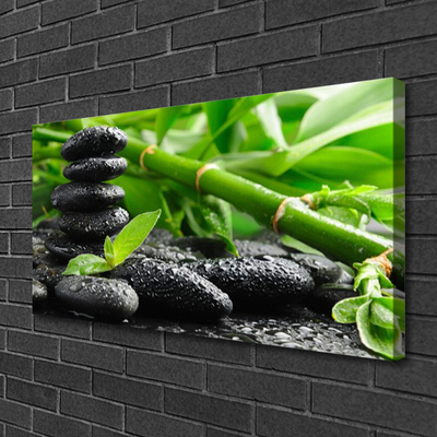 Schilderij op canvas Plant bamboo shoots