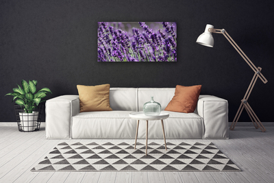 Schilderij op canvas Bloemen plant nature