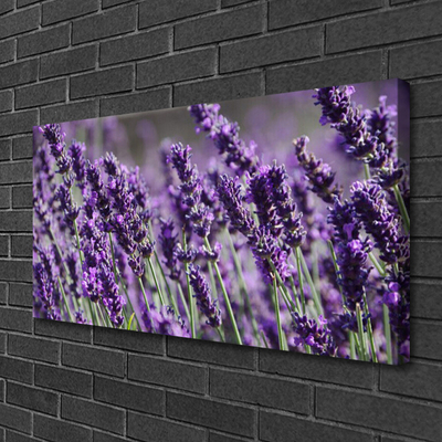 Schilderij op canvas Bloemen plant nature