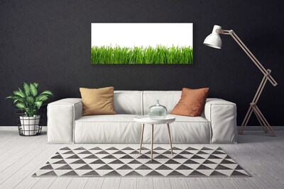 Schilderij op canvas Grass nature plant