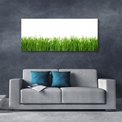 Schilderij op canvas Grass nature plant