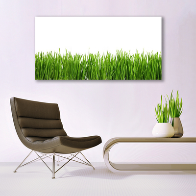 Schilderij op canvas Grass nature plant