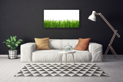 Schilderij op canvas Grass nature plant