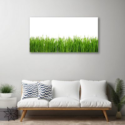 Schilderij op canvas Grass nature plant