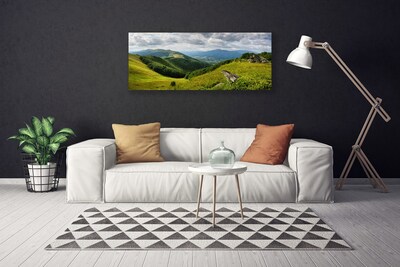 Schilderij op canvas Mountain meadow landscape