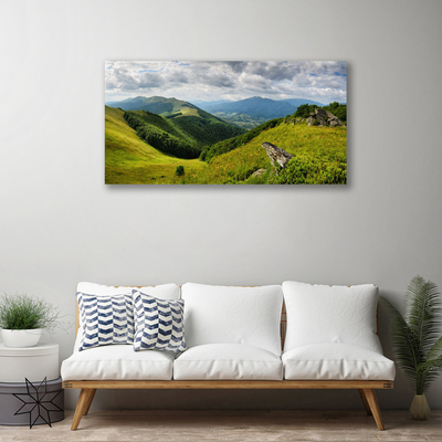 Schilderij op canvas Mountain meadow landscape