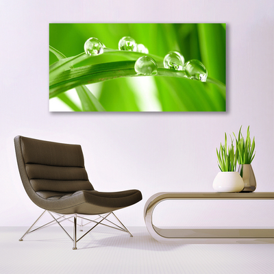 Schilderij op canvas Bladeren natuur plant