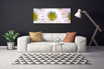 Schilderij op canvas Daisy plant nature