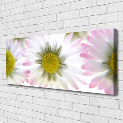 Schilderij op canvas Daisy plant nature