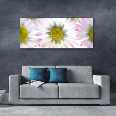 Schilderij op canvas Daisy plant nature