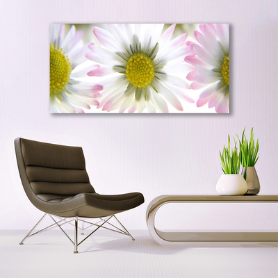 Schilderij op canvas Daisy plant nature