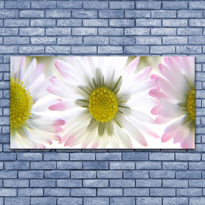 Schilderij op canvas Daisy plant nature