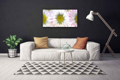 Schilderij op canvas Daisy plant nature