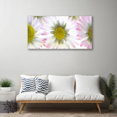 Schilderij op canvas Daisy plant nature