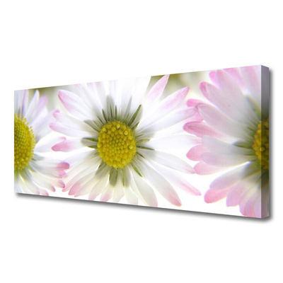 Schilderij op canvas Daisy plant nature