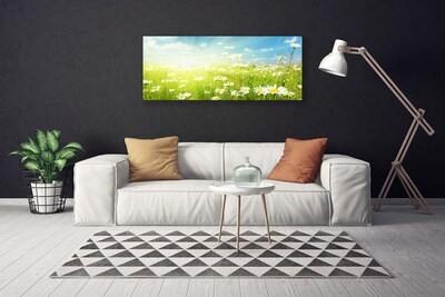 Schilderij op canvas Daisy meadow nature