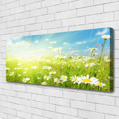 Schilderij op canvas Daisy meadow nature