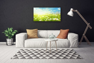 Schilderij op canvas Daisy meadow nature