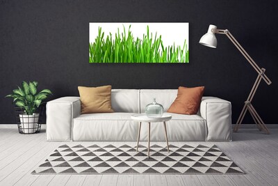 Schilderij op canvas Grass nature plant