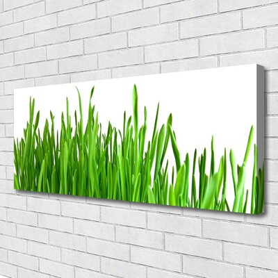 Schilderij op canvas Grass nature plant