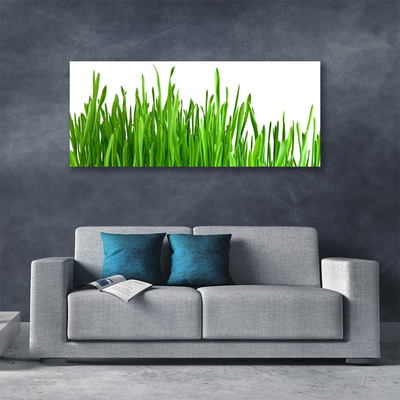 Schilderij op canvas Grass nature plant