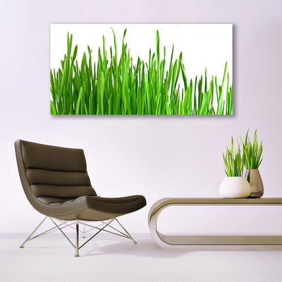 Schilderij op canvas Grass nature plant