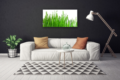 Schilderij op canvas Grass nature plant