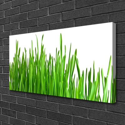 Schilderij op canvas Grass nature plant