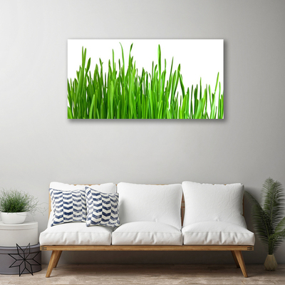 Schilderij op canvas Grass nature plant