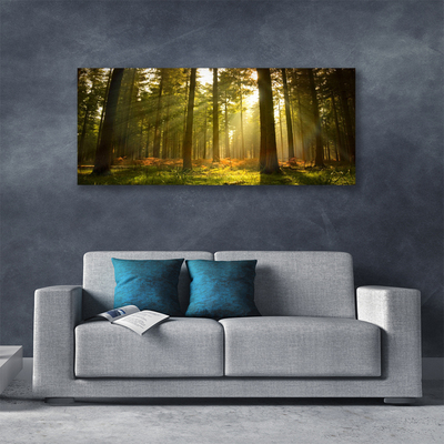 Schilderij op canvas Nature bosbomen