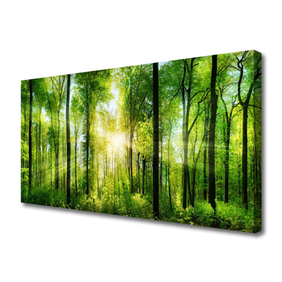 Schilderij op canvas Nature bosbomen