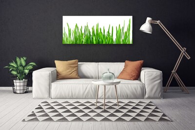 Schilderij op canvas Grass nature plant