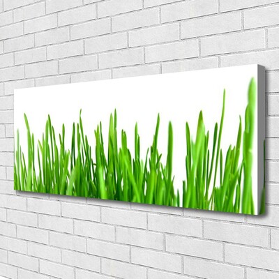 Schilderij op canvas Grass nature plant