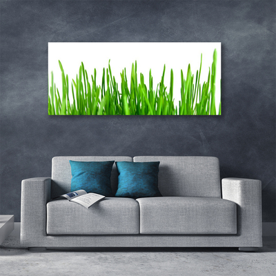 Schilderij op canvas Grass nature plant