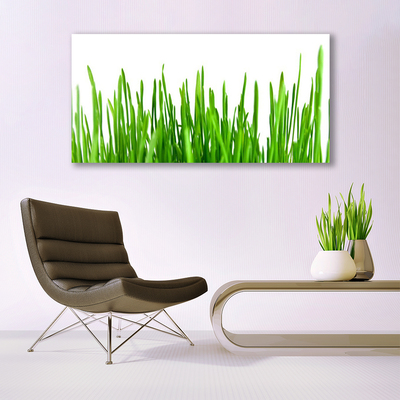 Schilderij op canvas Grass nature plant