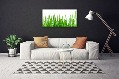 Schilderij op canvas Grass nature plant