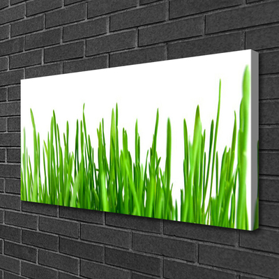 Schilderij op canvas Grass nature plant