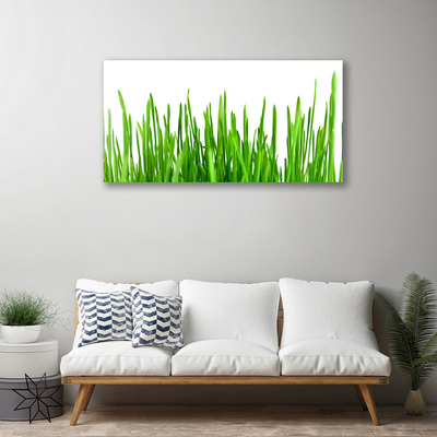 Schilderij op canvas Grass nature plant