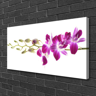 Schilderij op canvas Bloemen plant nature