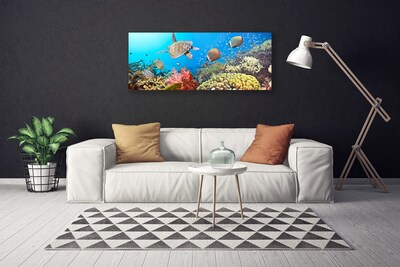 Schilderij op canvas Barrier reef landschap