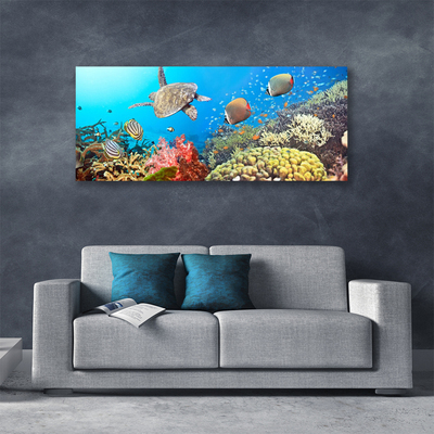 Schilderij op canvas Barrier reef landschap