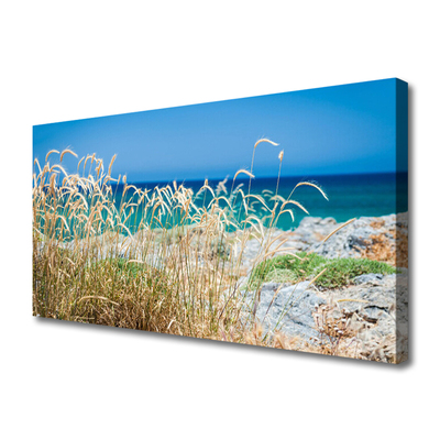 Schilderij op canvas Strandlandschappen