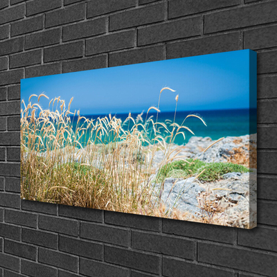 Schilderij op canvas Strandlandschappen