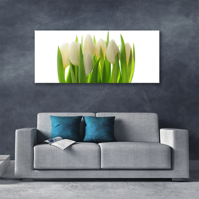 Schilderij op canvas Plant tulpen natuur