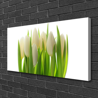 Schilderij op canvas Plant tulpen natuur