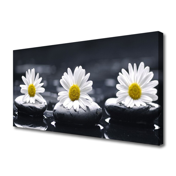 Schilderij op canvas Daisy stones plant