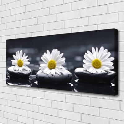 Schilderij op canvas Daisy stones plant