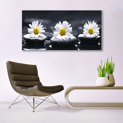 Schilderij op canvas Daisy stones plant