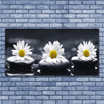 Schilderij op canvas Daisy stones plant