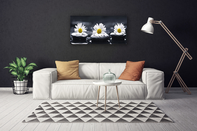 Schilderij op canvas Daisy stones plant